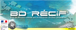 Image BD Récif