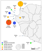 Carte réalisée pour l‘IRD